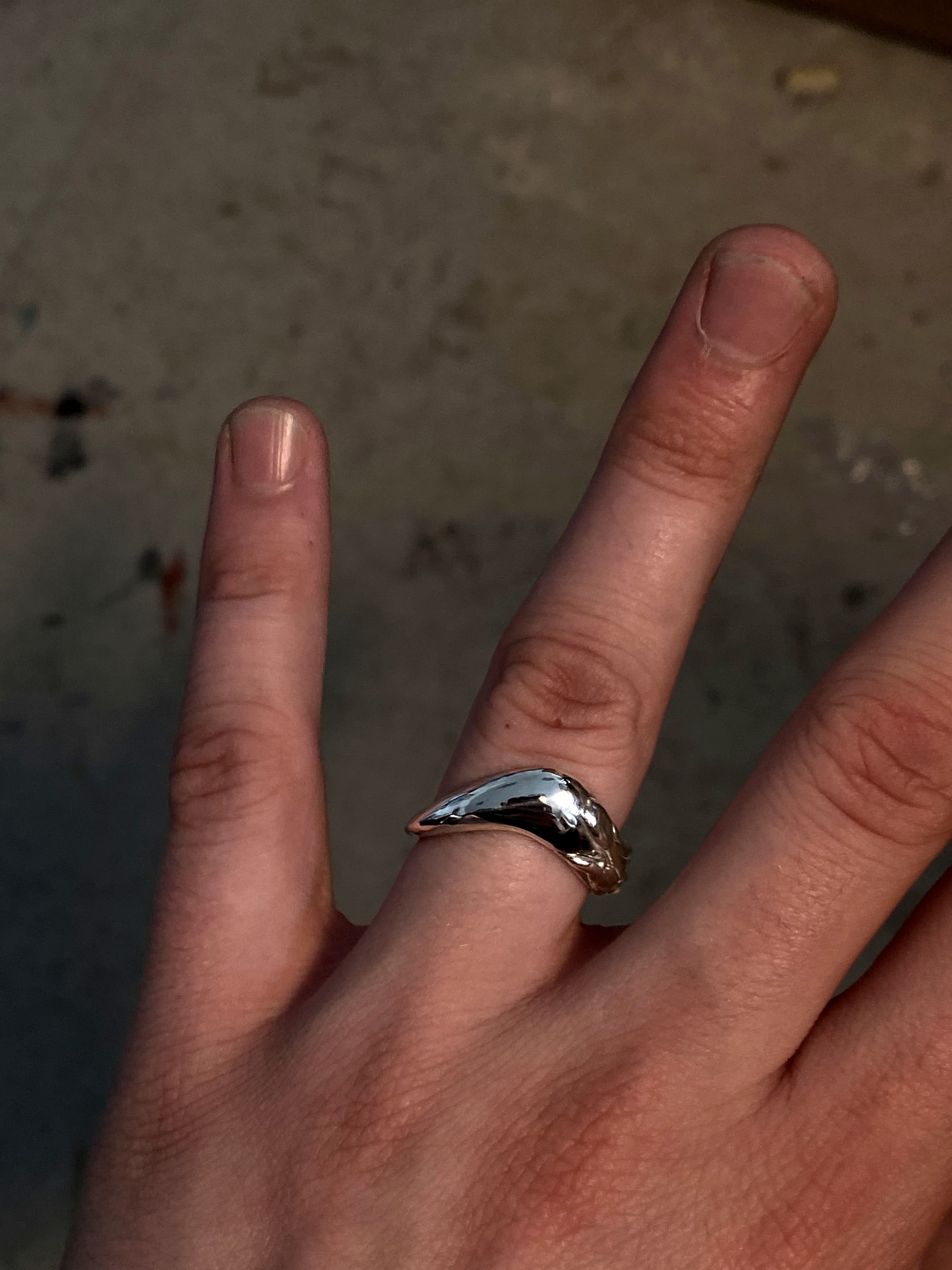 Dominik Bek - obrázek 7